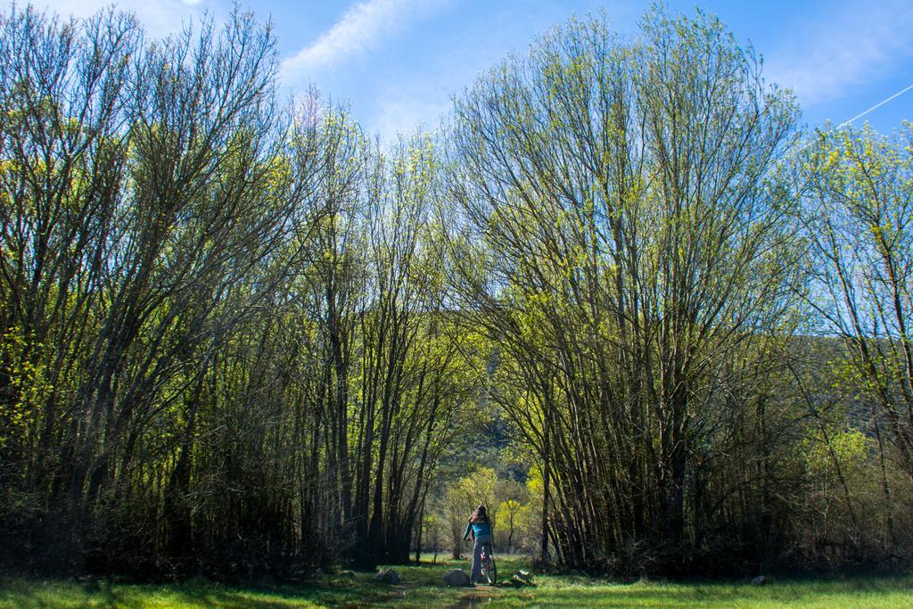 Retiro Do Bosque Country House Villa Minde Kültér fotó