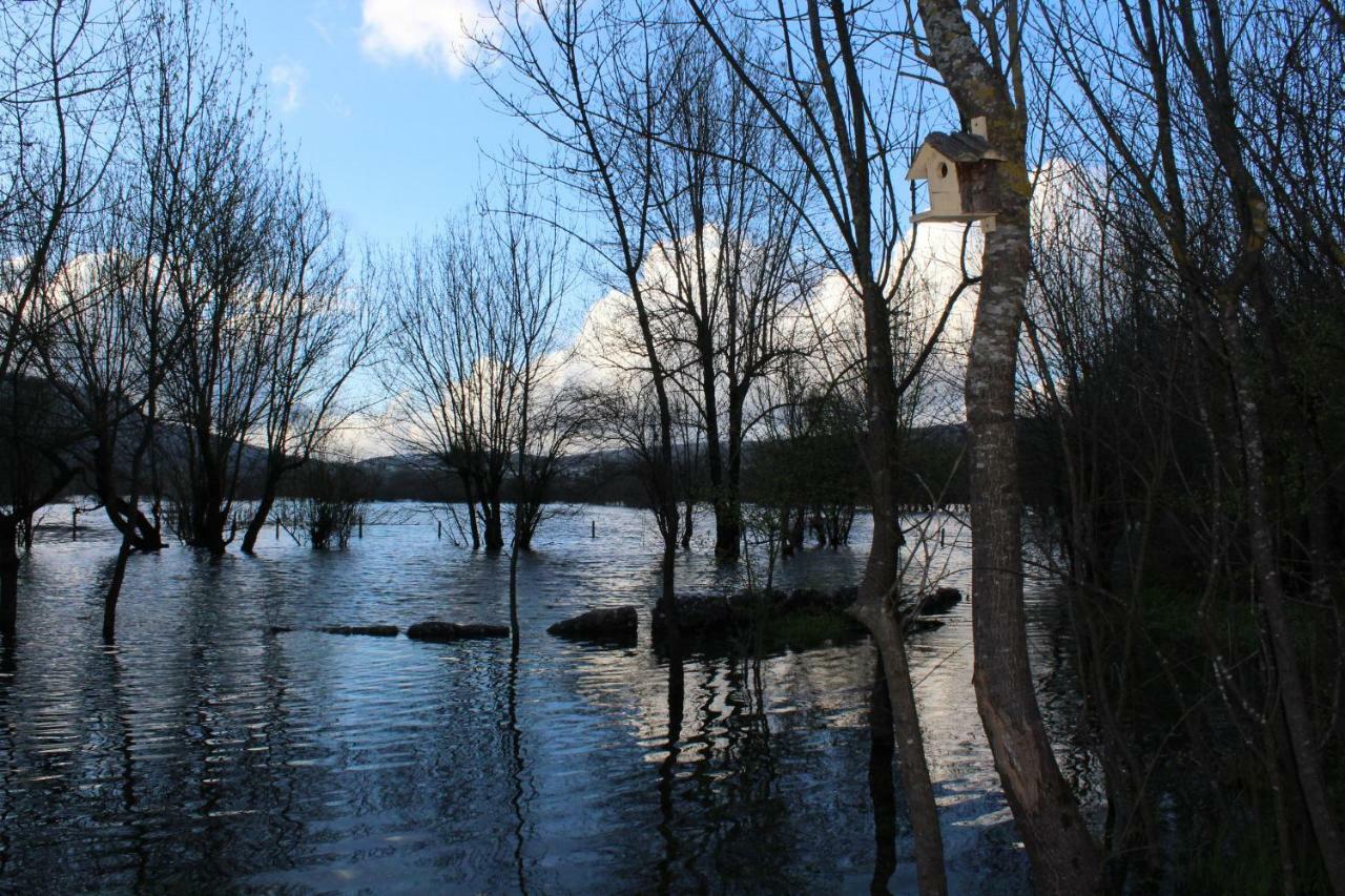 Retiro Do Bosque Country House Villa Minde Kültér fotó